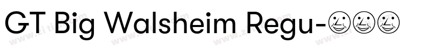 GT Big Walsheim Regu字体转换